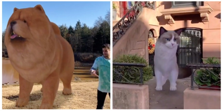 50 New 3D Animals from Google