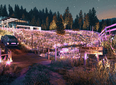 We Now Support Forest Pack 7